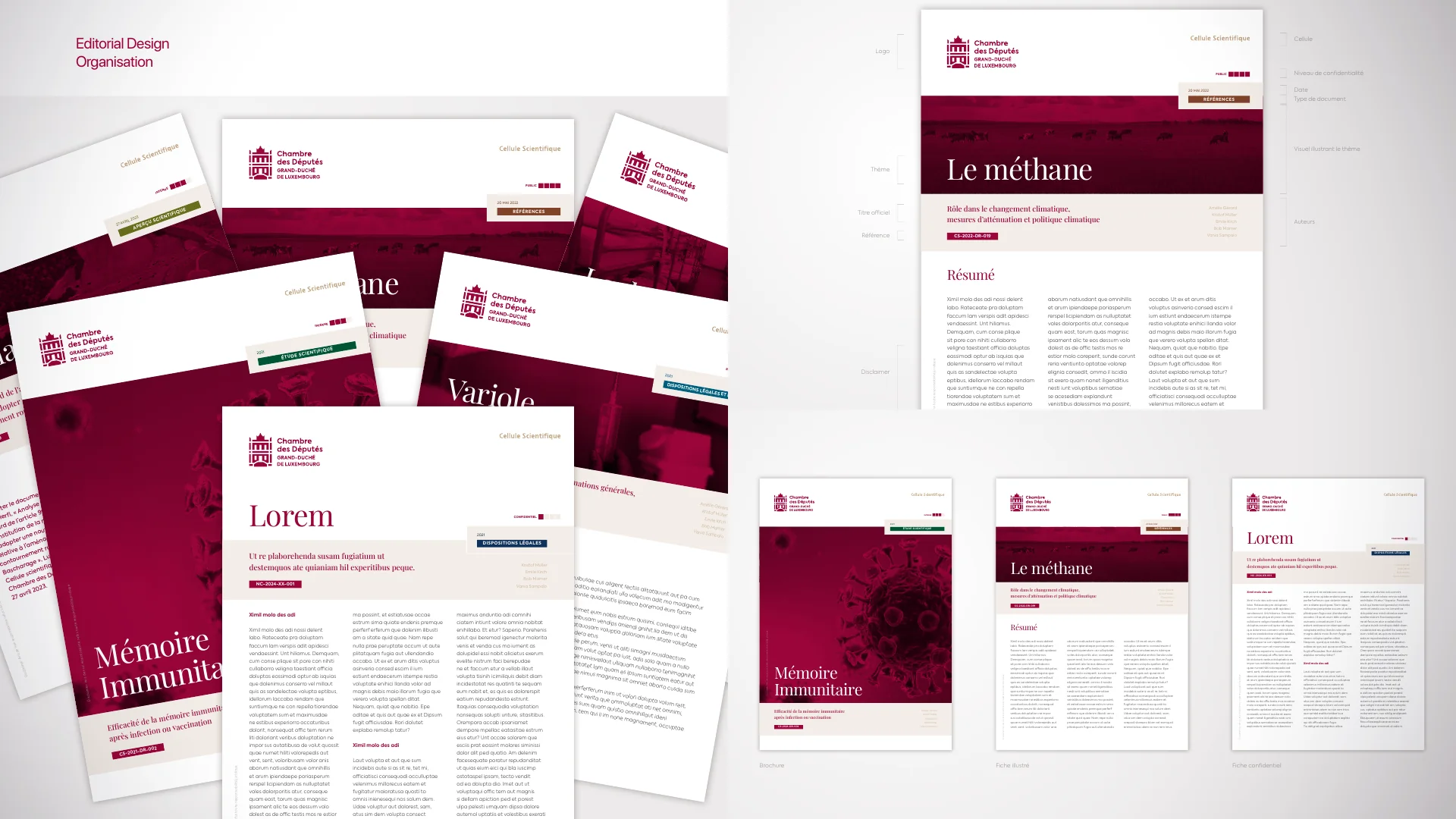 Vizualab Editorial — project 3, Senior Art Director portfolio